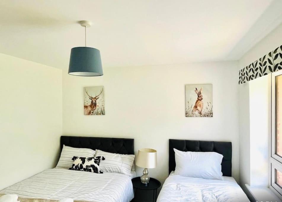 Ashford Retreat - Luxury Home With Double Parking Екстер'єр фото