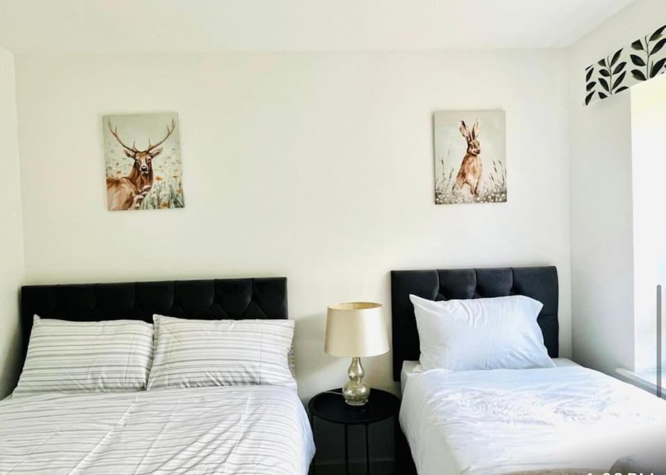 Ashford Retreat - Luxury Home With Double Parking Екстер'єр фото